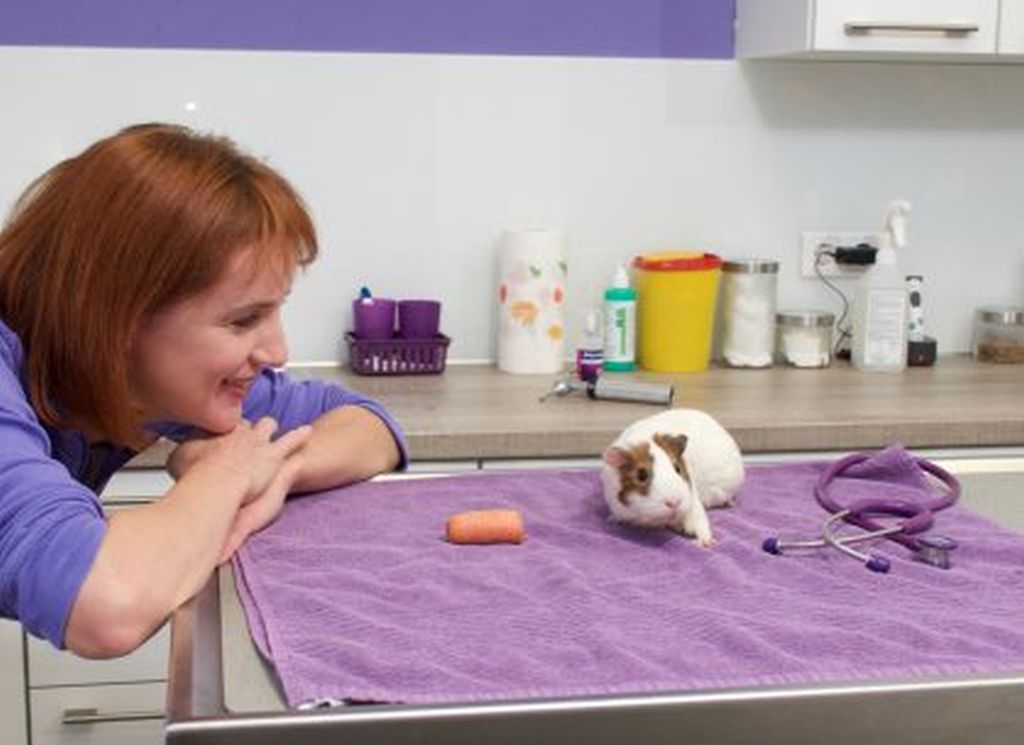 Über uns olympus digital camera