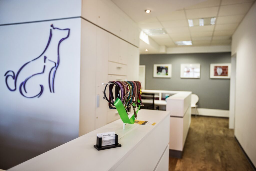 Über uns tierarztpraxis bemerode saba buttkewitz & frommhagen