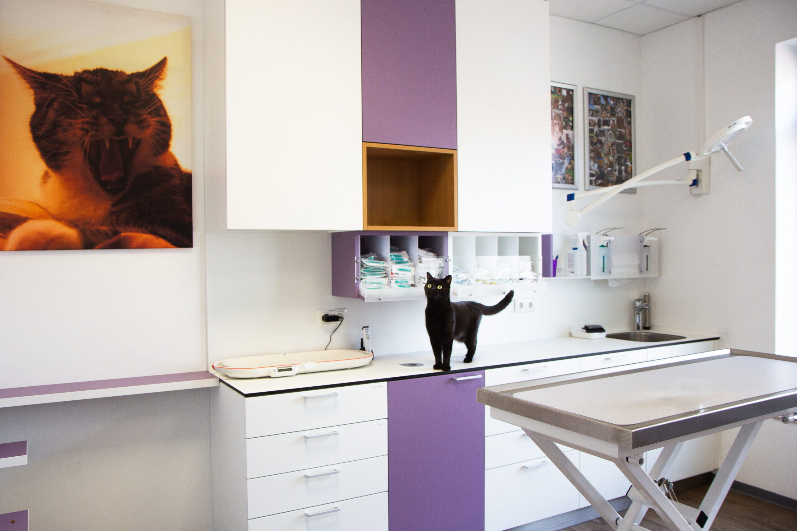 Über uns img 8925 behandlungsraum