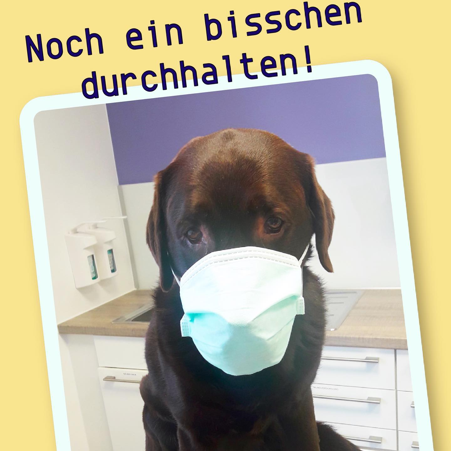 Über uns 198646888 1859340740896283 3073484676844482636 n